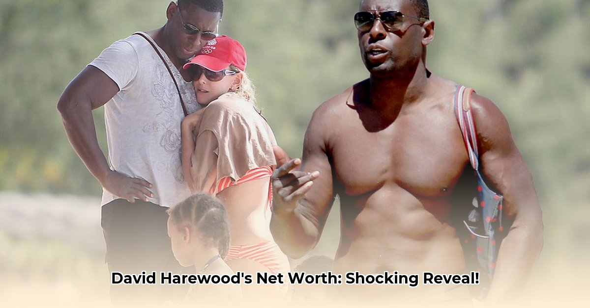 david-harewood-net-worth